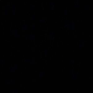 Meet your Posher, Ikuko